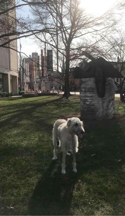 Fotografie de echipă la Vânătoarea de Comori din Harrisburg